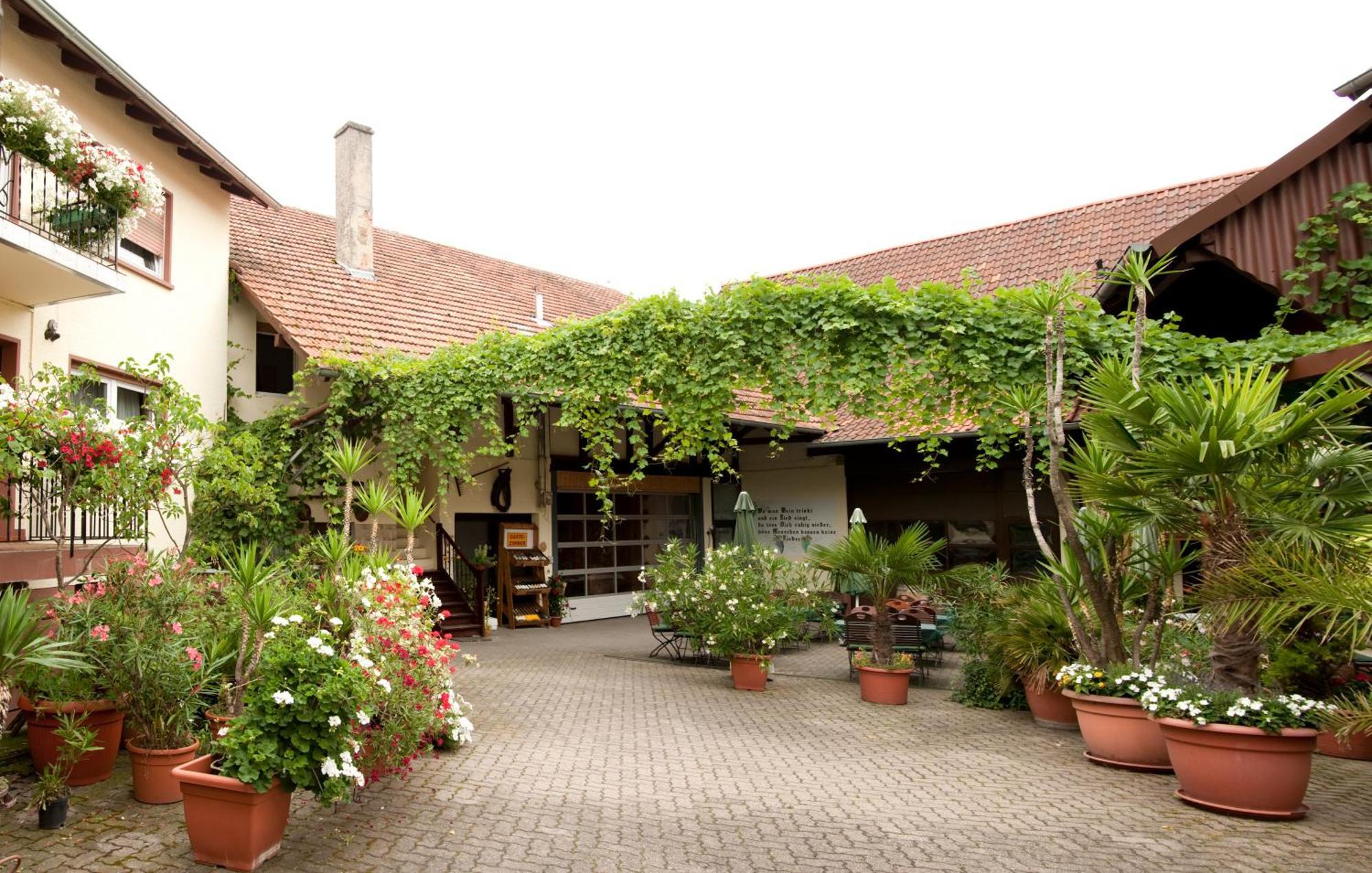 Weingut Und Gastehaus Vongerichten Oberhausen  Bagian luar foto